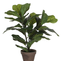 Kunstpflanze Ficus Lyrata - Grüne Kunstpflanzen