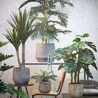 Künstliche Areca-Palme inkl. Runder Ziertopf, Kunststoff - Kunstpflanzen