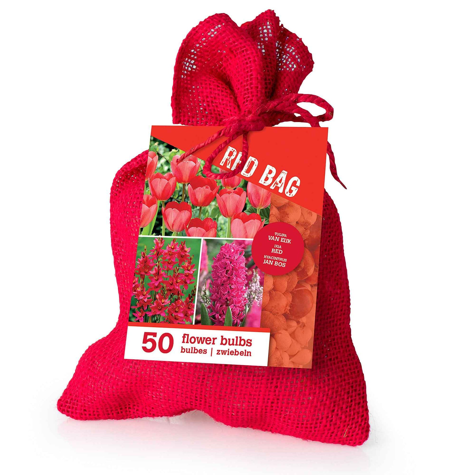 50x Blumenzwiebeln mit Jutetasche  Rot - Alle Blumenzwiebeln