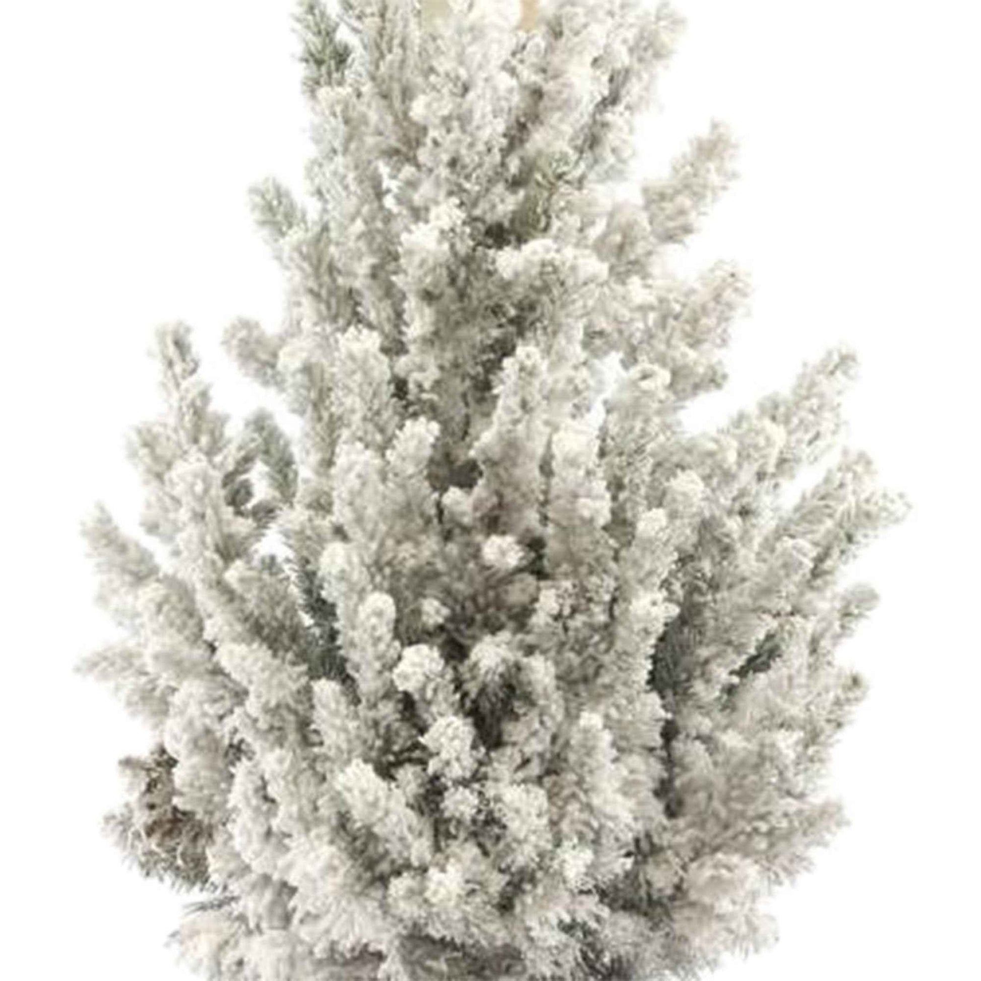 Picea glauca, grün-weiß mit Schnee inkl. Ziertopf, weiß  - Mini Weihnachtsbaum - Alle Bäume und Hecken