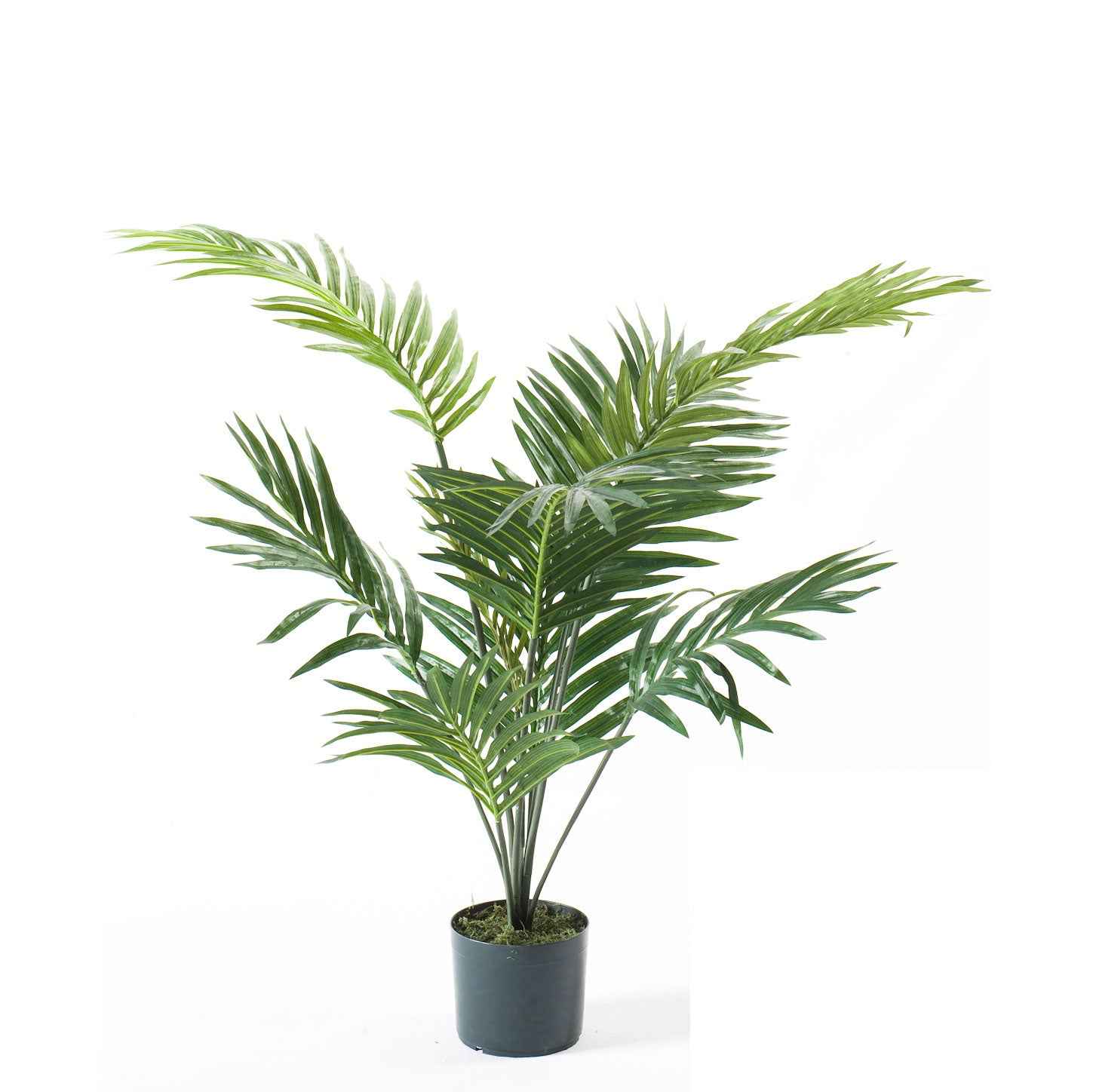 Künstliche Pflanze Areca-Palme Dypsis inkl. Ziertopf, schwarz - Große Kunstpflanzen