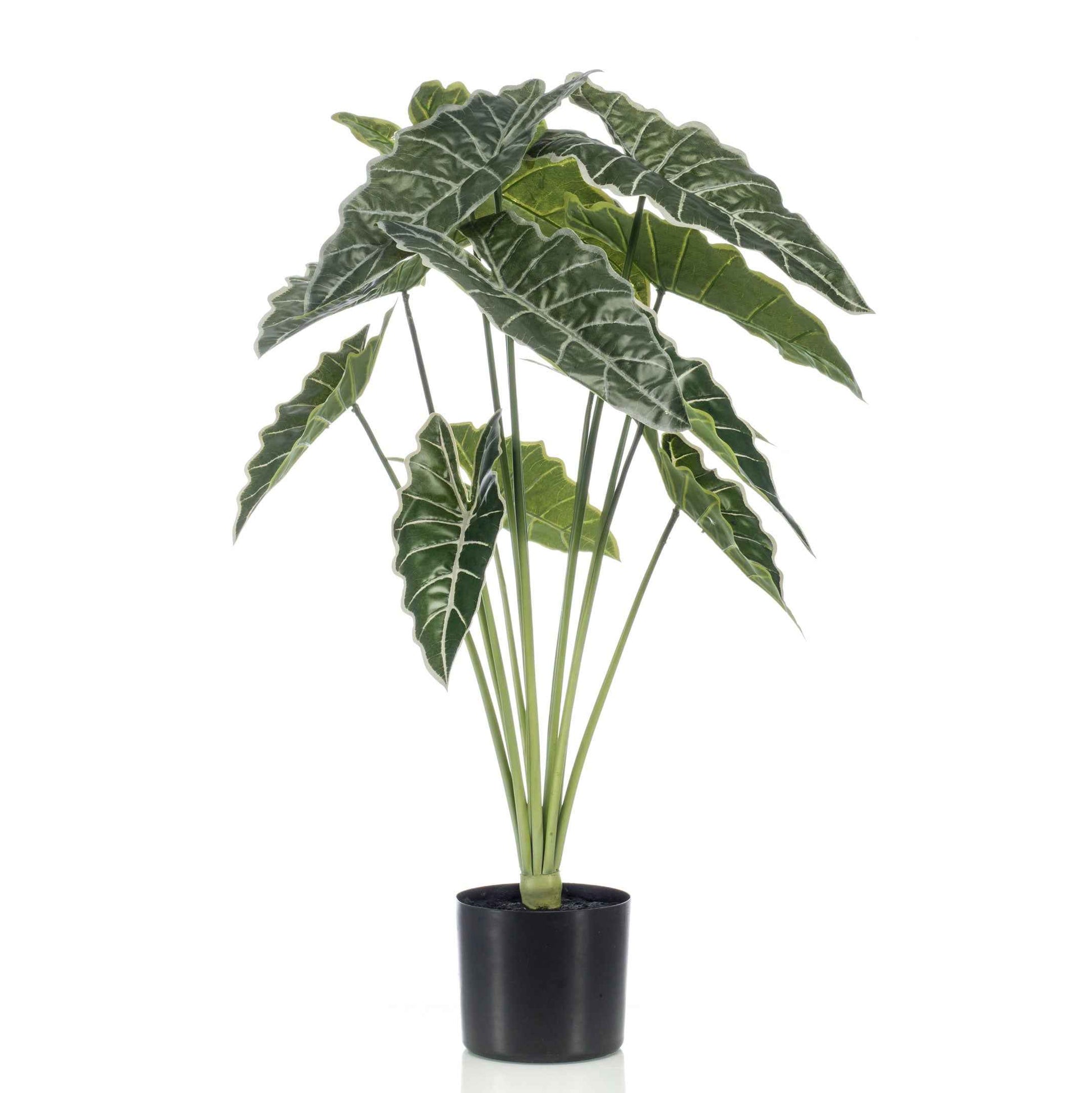 Künstliche Pflanze Elefantenohr Alocasia inkl. Ziertopf, schwarz - Große Kunstpflanzen