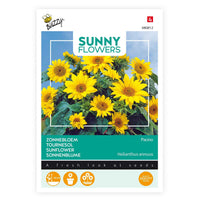 Sonnenblume Helianthus 'Pacino Gold' gelb 3 m² - Blumensamen - Gartenpflanzen