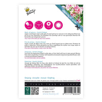 Duft-Wicke Lathyrus 'Unwin' rosa 2 m² - Blumensamen - Pflanzeneigenschaften