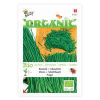 Schnittlauch Allium 'Prager' - Biologisch 4 m² - Kräutersamen - Kräutersamen