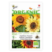 Sonnenblume Helianthus 'Compact Spray' - Biologisch gelb 3 m² - Blumensamen - Blumensaat