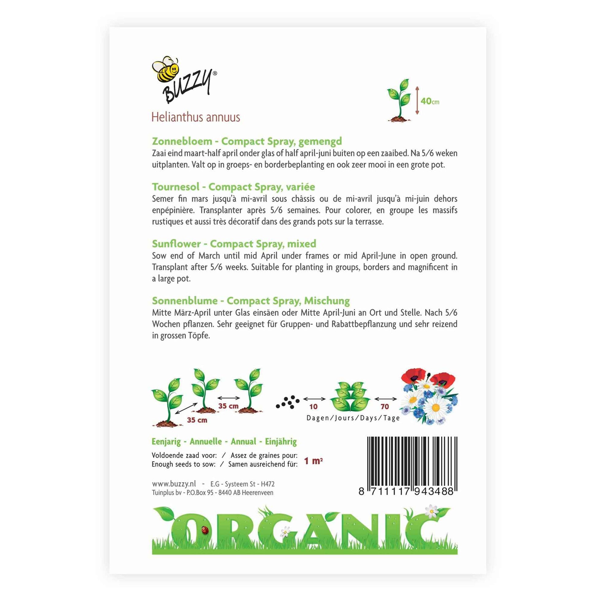 Sonnenblume Helianthus 'Compact Spray' - Biologisch gelb 3 m² - Blumensamen - Gartenpflanzen