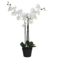 Künstliche Pflanze Orchidee Phalaenopsis weiβ Inkl. Runder Ziertopf, Kunststoff - Beliebte Kunstpflanzen
