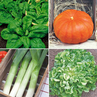Herbstgemüsepaket 'Herrlicher Herbst' - Biologisch - Gemüsesamen - Anzuchtsets