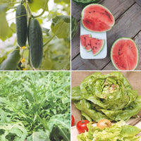 Sommerpaket 'Sonniger Sommer' - Biologisch Gemüsesamen, Kräutersamen, Obstsamen - Bio-Gartenpflanzen