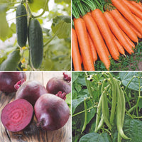 Starterpaket für einen Gemüsegarten für Kinder 'Bequemes Beet' - Biologisch - Gemüsesamen - Anzuchtsets