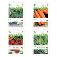Starterpaket für einen Gemüsegarten für Kinder 'Bequemes Beet' - Biologisch - Gemüsesamen - DIY-Gemüsepaket