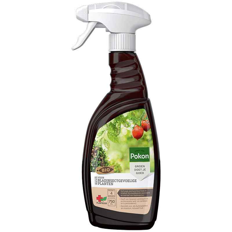 Pflanzenkur-Spray gegen Blattinsekten - Biologisch 750 ml - Pokon - Blattinsekten