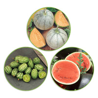 Melonenpaket 'Mächtige Melonen' 21 m² - Obstsamen - Gemüsegarten