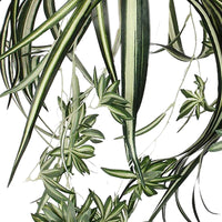 Künstliche Graslilie, hängend und grün inkl. Ziertopf, grün mit Pflanzenhänger - Kunstpflanzen mit Ziertopf