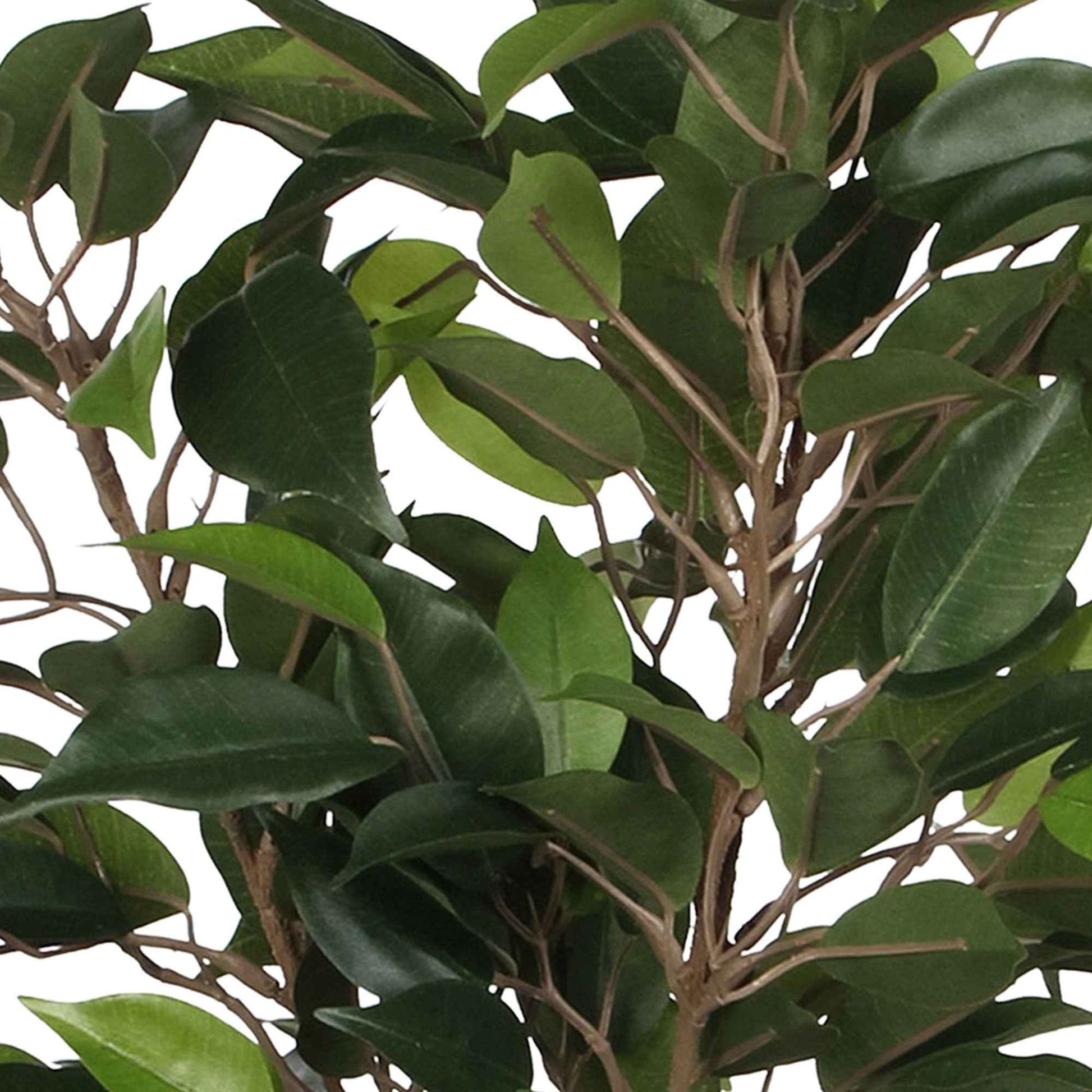 Künstlicher Ficus 'Natasja', grün inkl. Ziertopf, grün - Kunstpflanzen mit Ziertopf